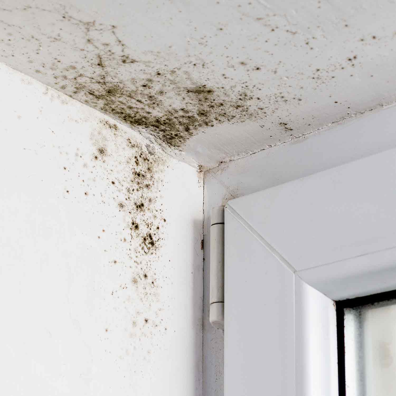Schimmel Falsches Luften